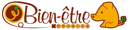 https://bien-etre-happy.com